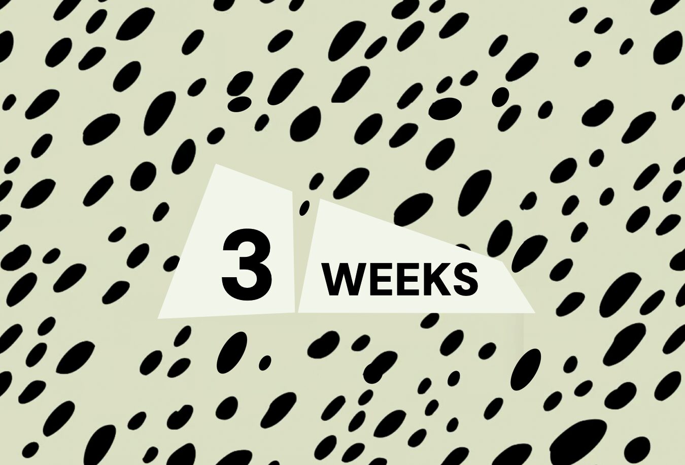 According to our data, parents are 2.4x more likely to search for and commit to annual course enrollments during the first three weeks of January compared to other months.